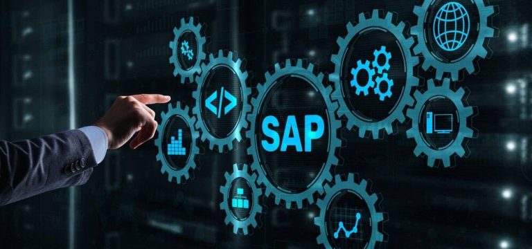 SAP consultants