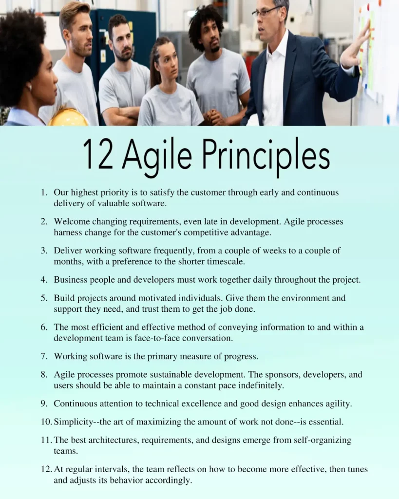 what is agile project management