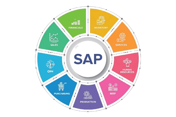 SAP training