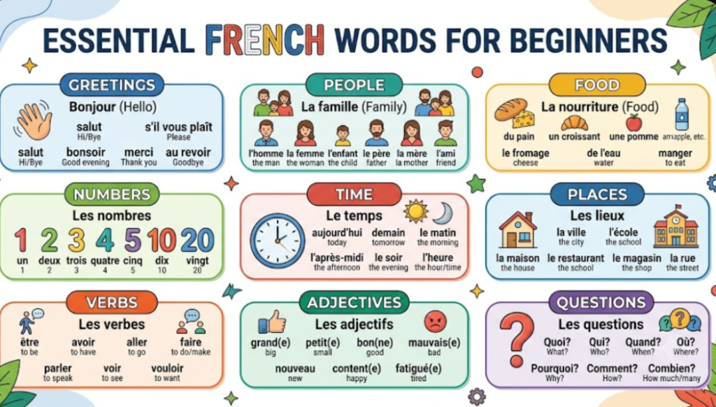 Basic French Words for Beginners